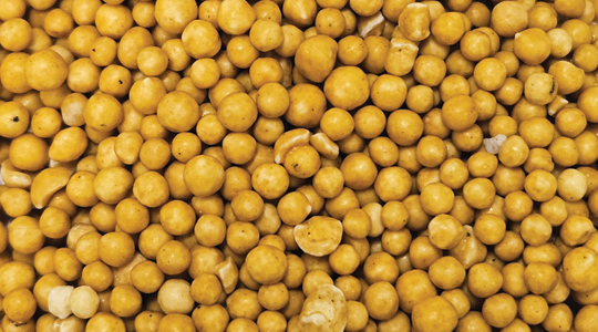 Granule Fertilizer