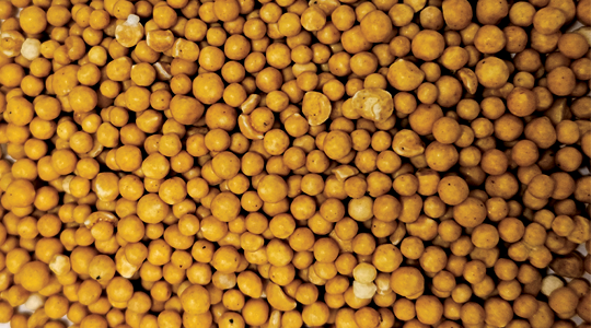 Granule Fertilizer Coating