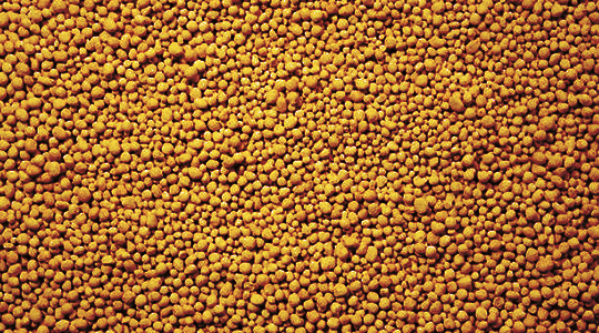 PED Coated