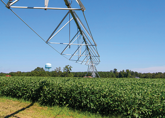 irrigation5