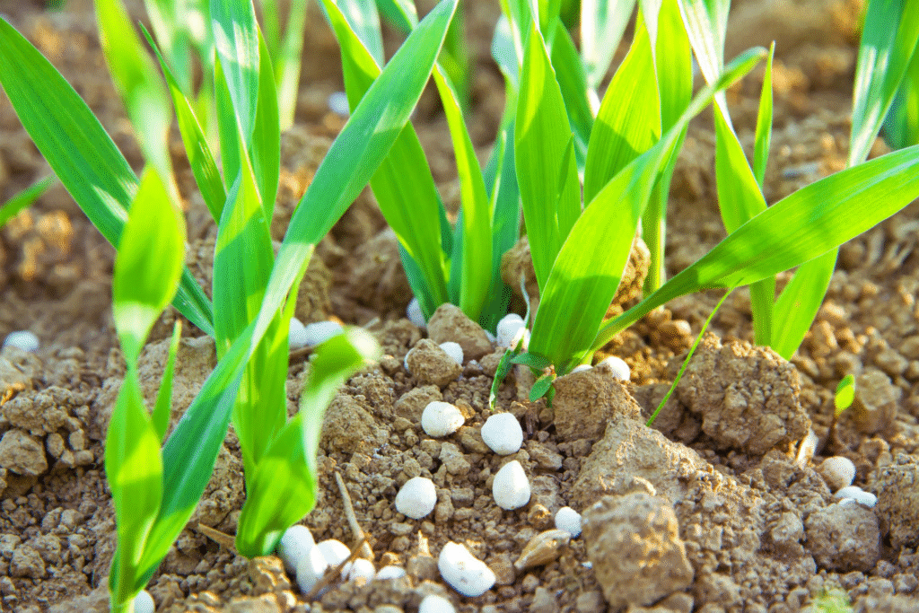 PED Field Fertilizer