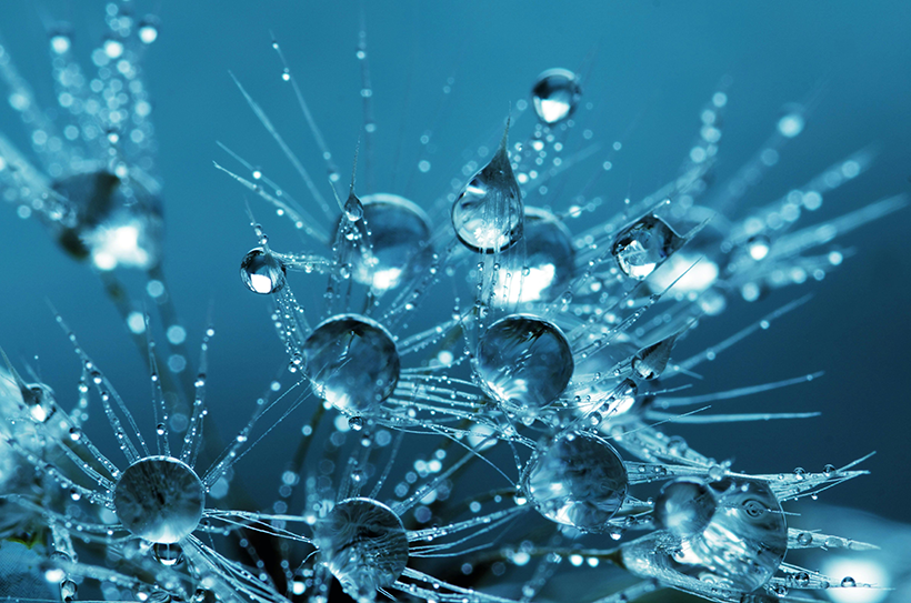 Liquid Hemp Image
