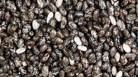 Seed Coating